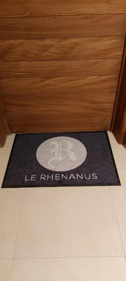 Le Rhenanus Jean Geiler De Kaysersberg - Appartement Ideal Pour Famille, Au Calme - Centre Ville - Parking Gratuit セレスタ エクステリア 写真