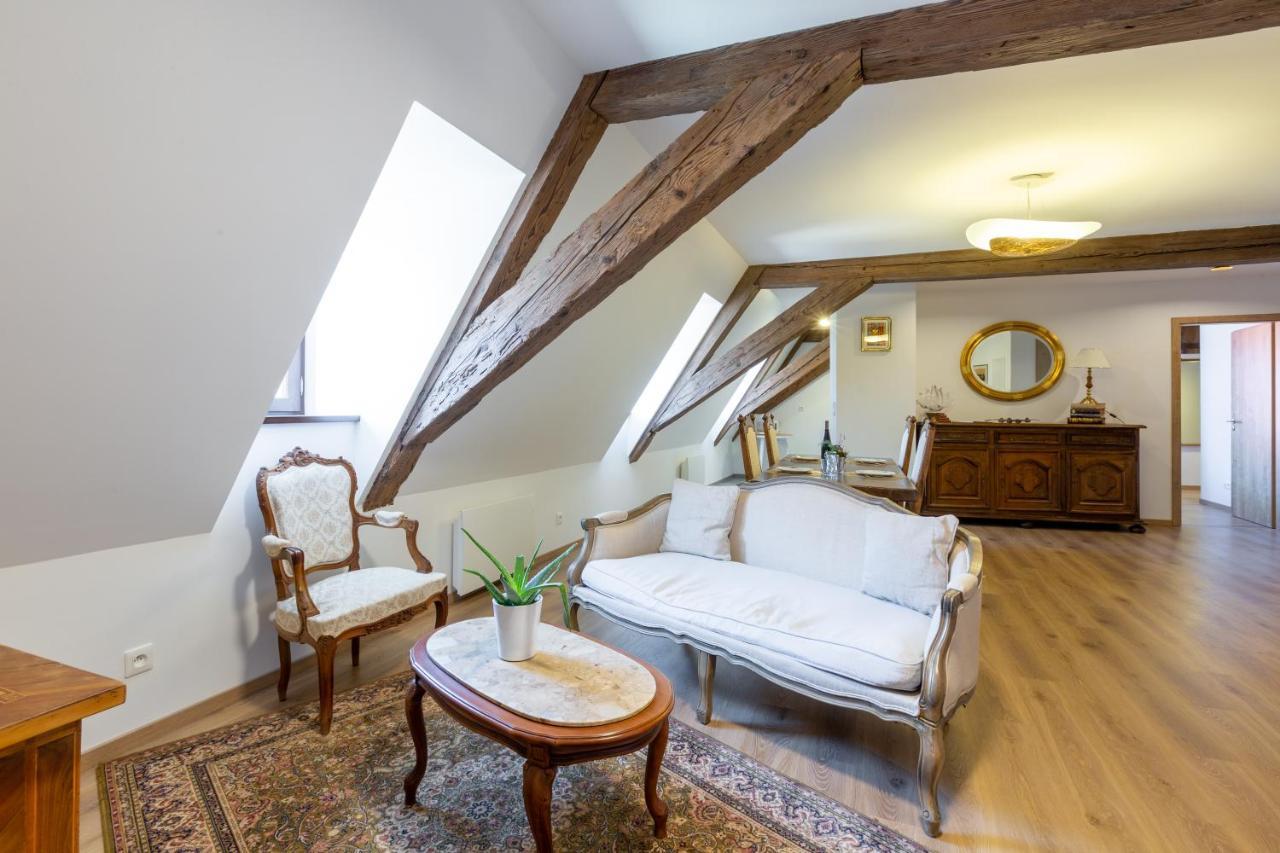 Le Rhenanus Jean Geiler De Kaysersberg - Appartement Ideal Pour Famille, Au Calme - Centre Ville - Parking Gratuit セレスタ エクステリア 写真